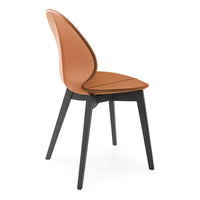 Basil Chair